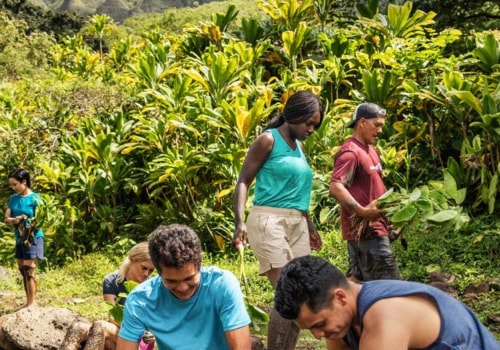Embedding the Hawaii Broadband Map on Your Website: A Comprehensive Guide